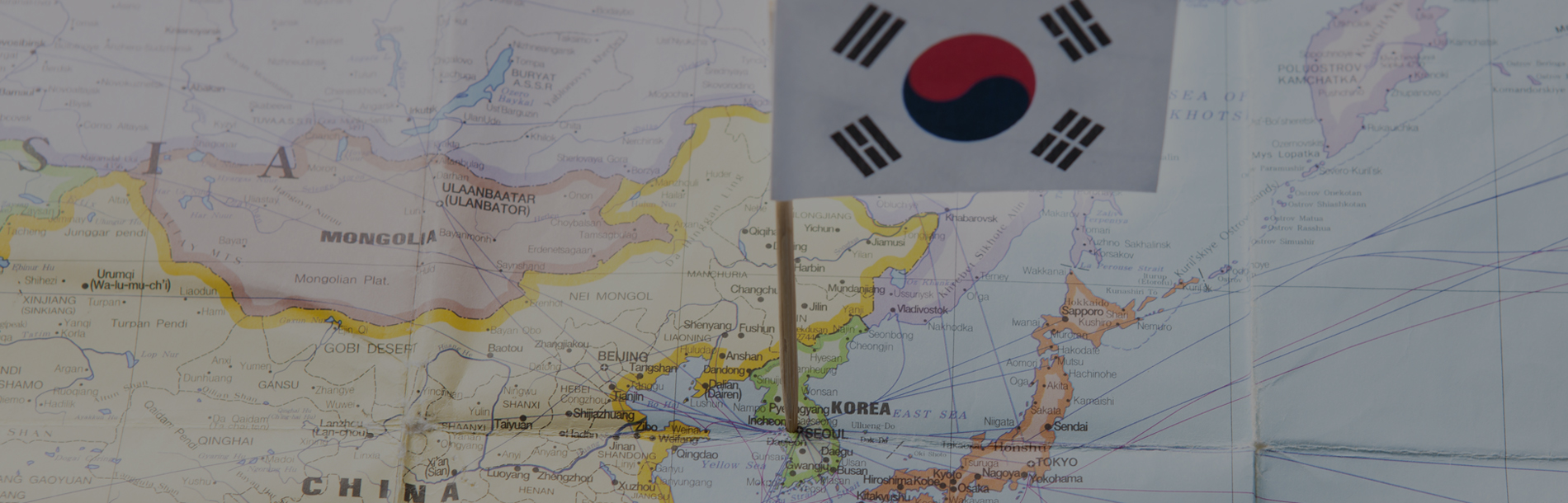 한국어전공