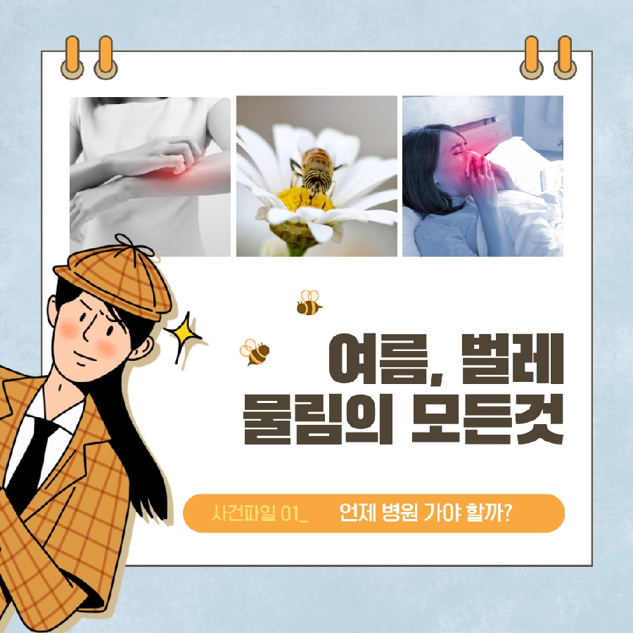 여름, 벌레 물림의 모든 것 대표이미지