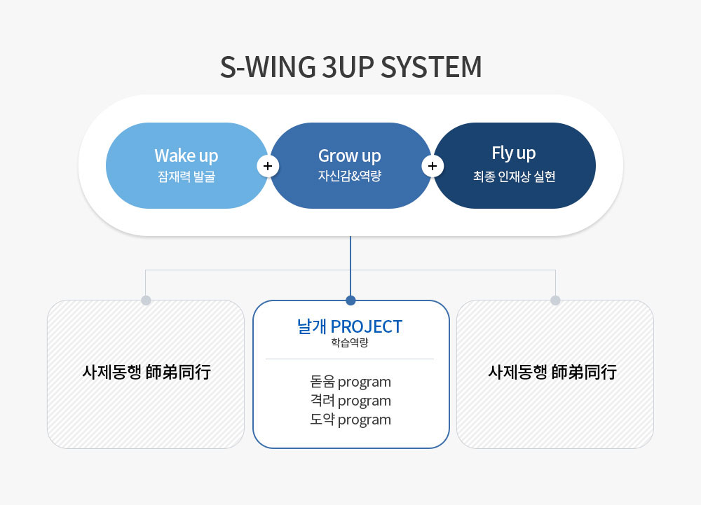 S-Wing 3up system