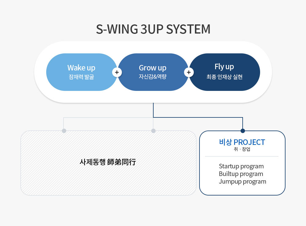 S-Wing 3up system